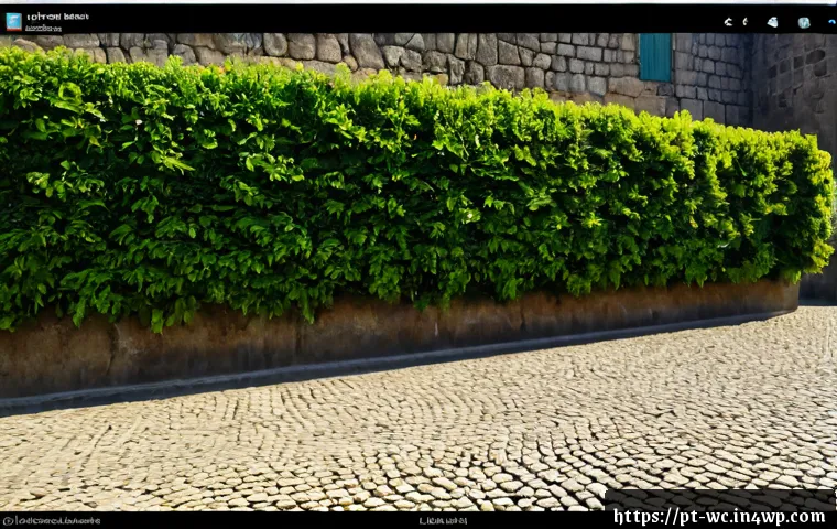 Vida mais calma na cidade: escolhas sustentáveis que poupam tempo, dinheiro e recursos 4 도시 속 느린 생활의 지속 가능성 관련 이미지 2